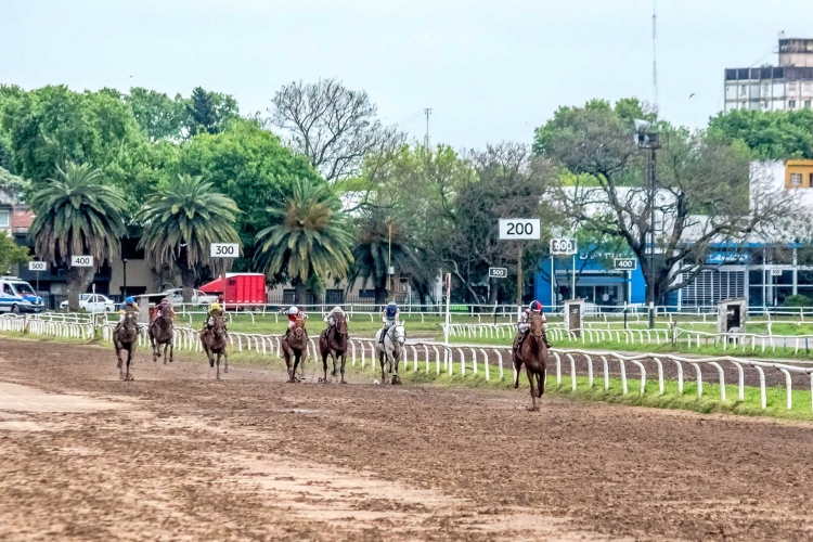 Nueva jornada de buen turf en el Hipódromo de Rosario
