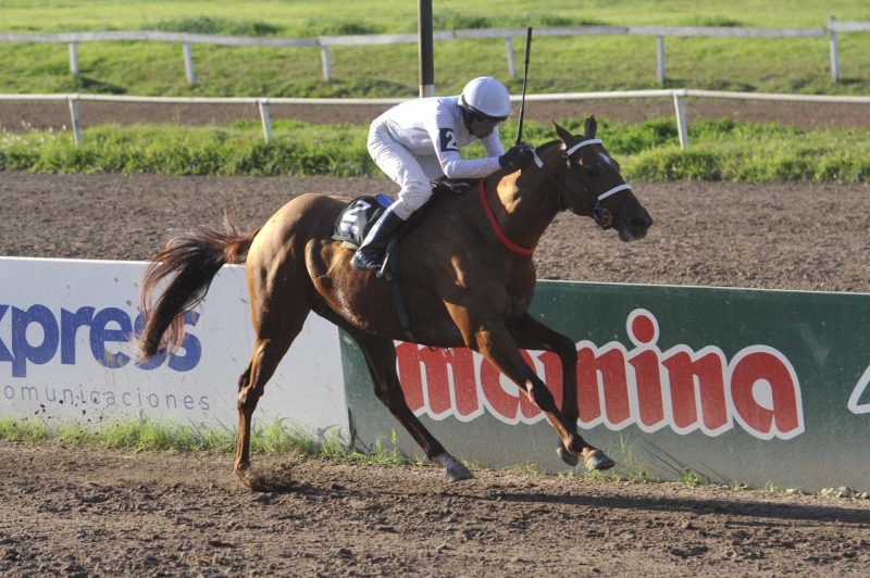 Salteño destacó en una emocionante jornada en el Hipódromo Independencia