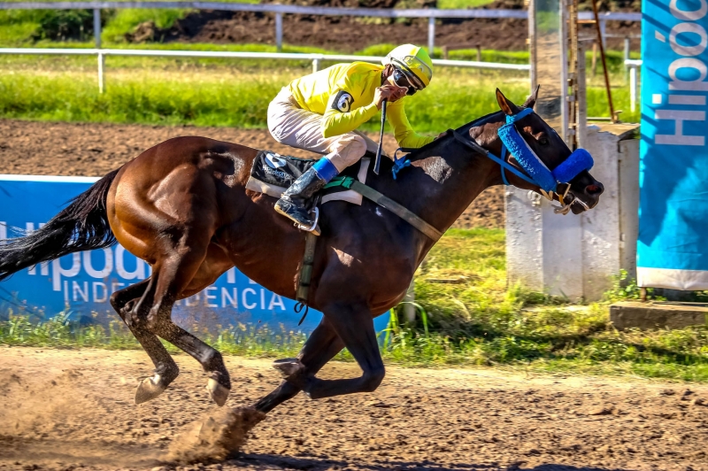 Estadísticas del primer semestre: Axel Alfonso, el jockey más ganador