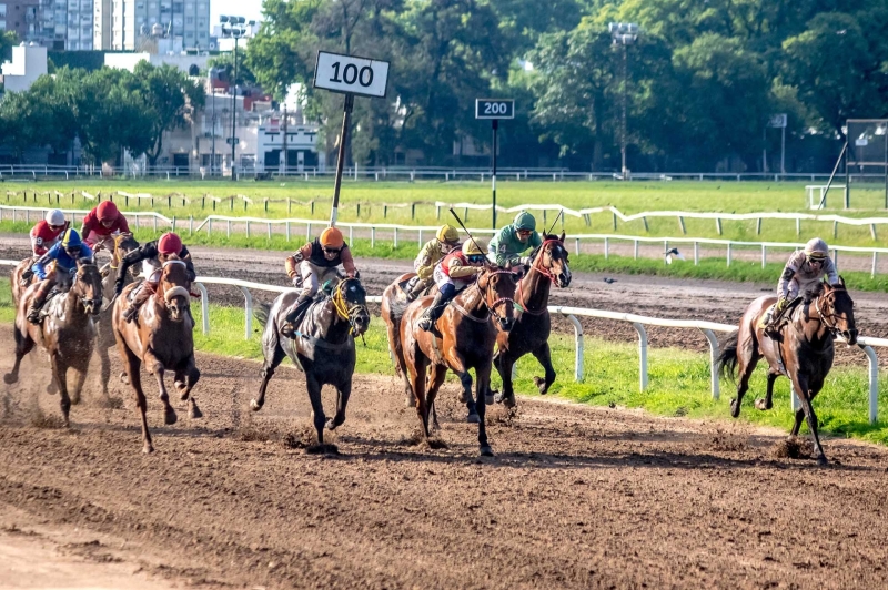Adelanto FEBRERO / MARZO 2026