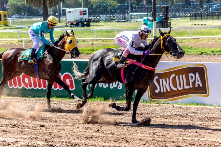 Espléndida jornada Hípica en el Hipódromo Independencia
