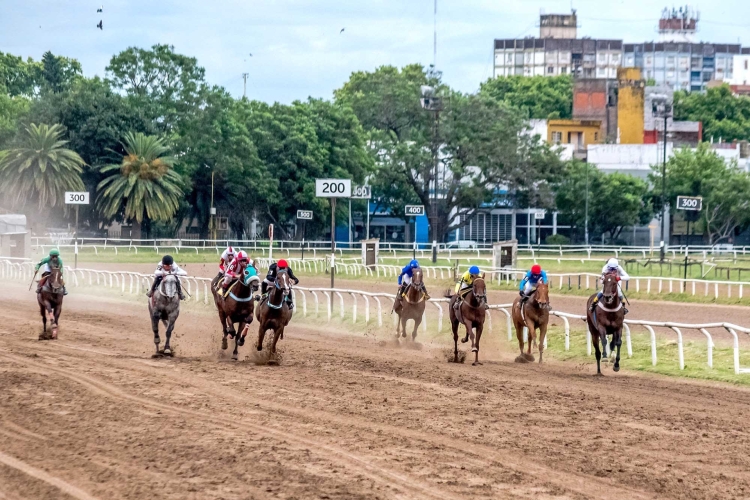 &Uacute;ltima largada de la temporada en el Hip&oacute;dromo Independencia