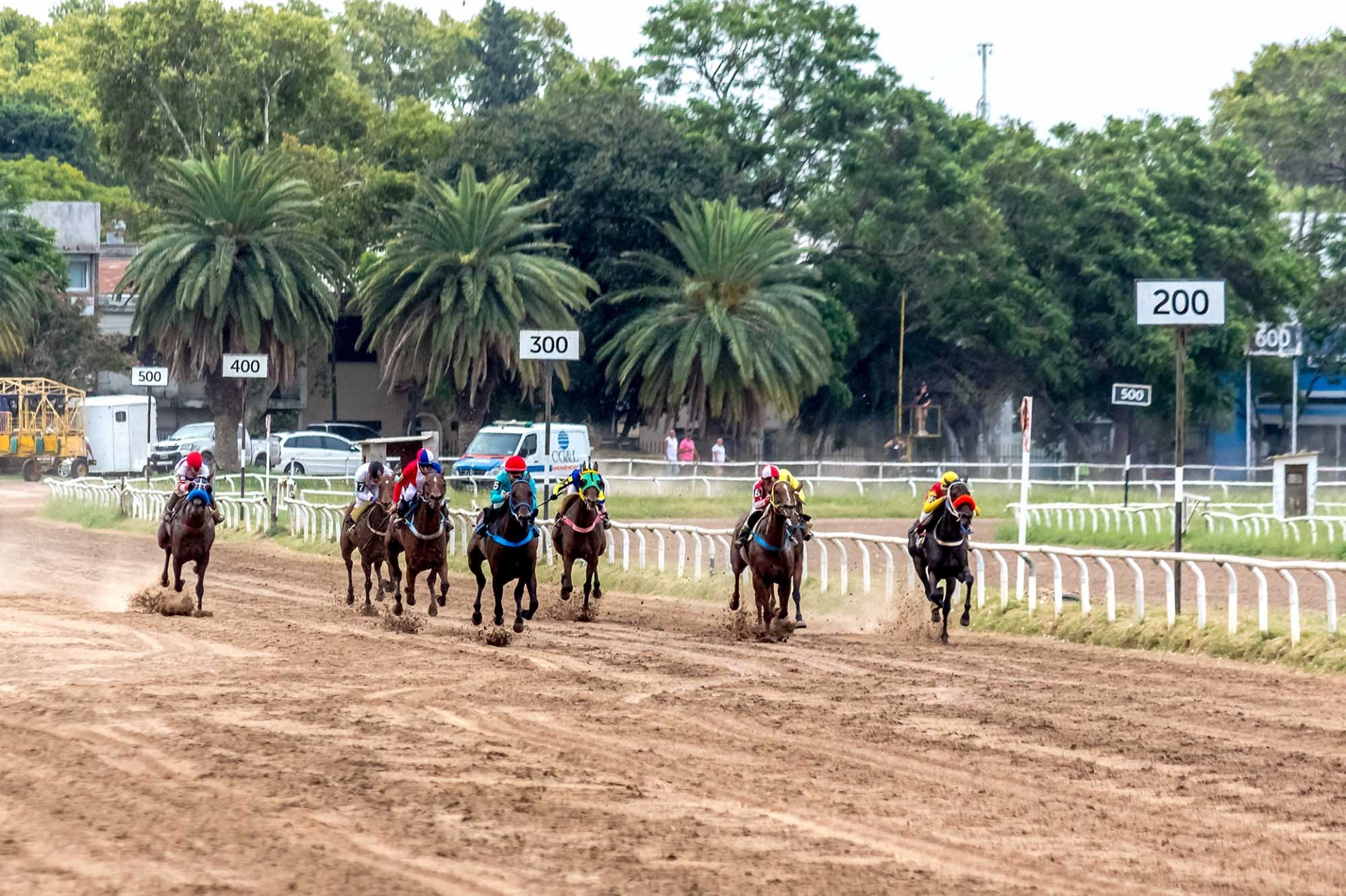 Reunión N°3 - Reuniones Hípicas 2024 - Hipódromo