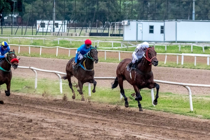 Reuni&oacute;n N&deg;1 