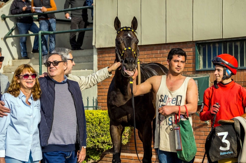 Reunión Nº17 - Domingo 08/09/2019