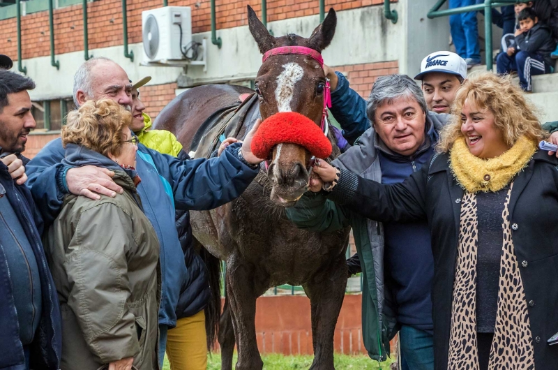 Reunión N°14 - Domingo 28/07/2019