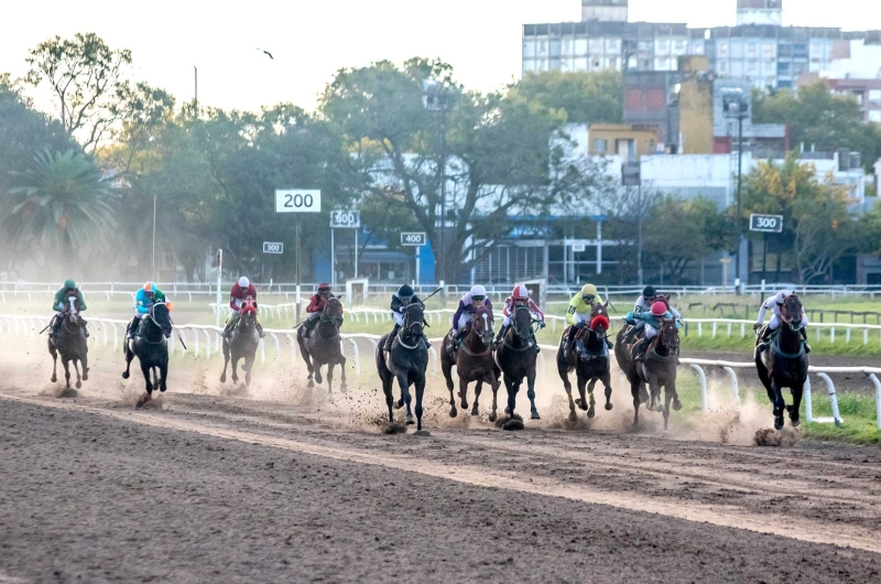 Reunión N°7/2025